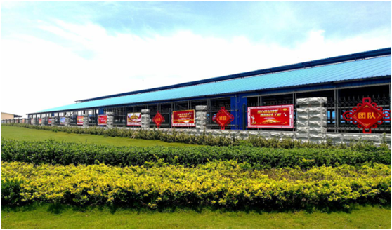 “ 看听谈查 ”板 找短板  党建巡查促提升——B体育在线登录集团党委开展基层党建工作巡查