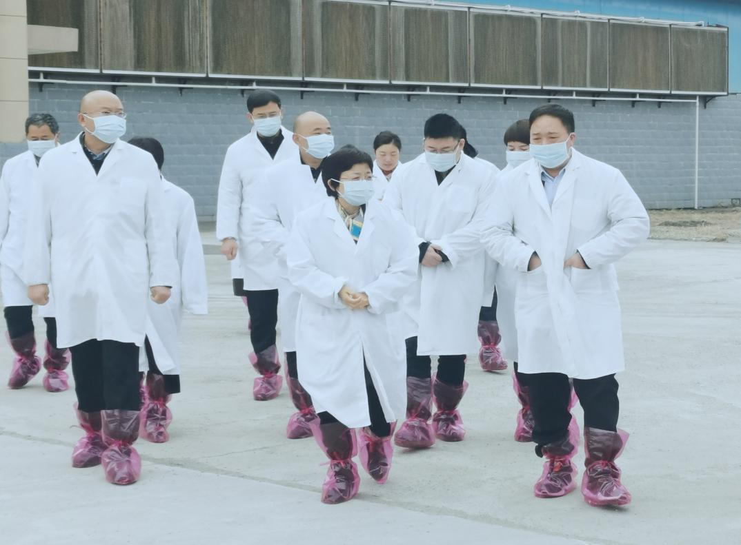 河南省郑州市人民政府副市长李凤芝一行莅临B体育在线登录河南瑞亚参观调研
