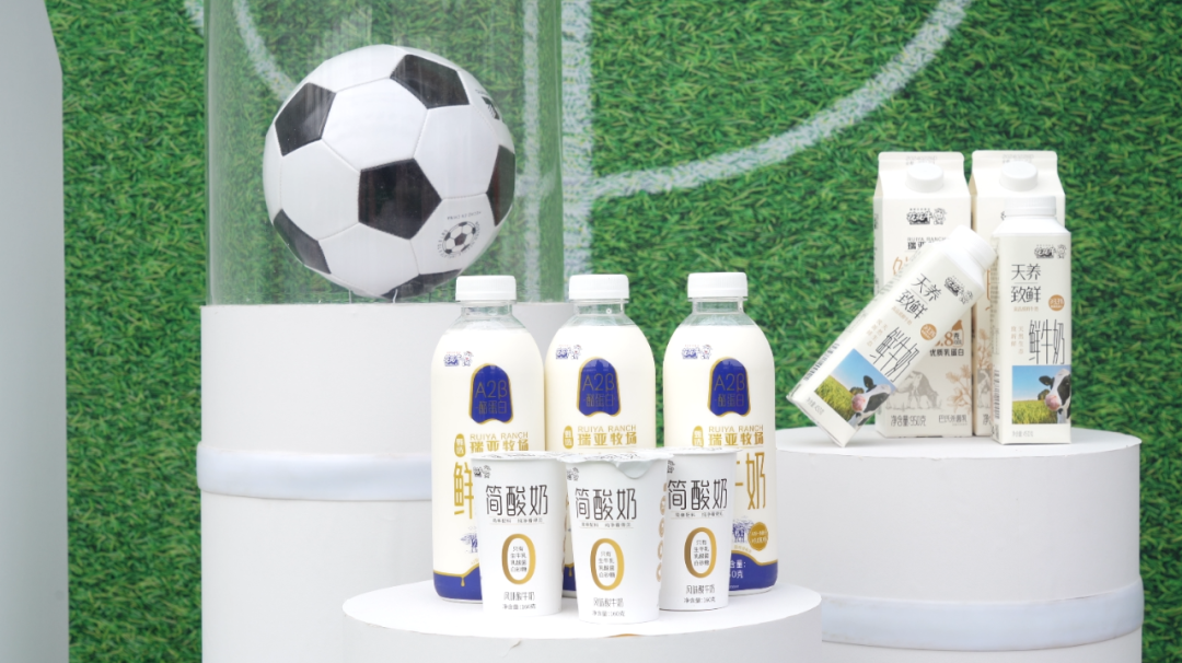 官宣丨B体育在线登录赞助河南足球，新赛季和河南足球一起牛气冲天！