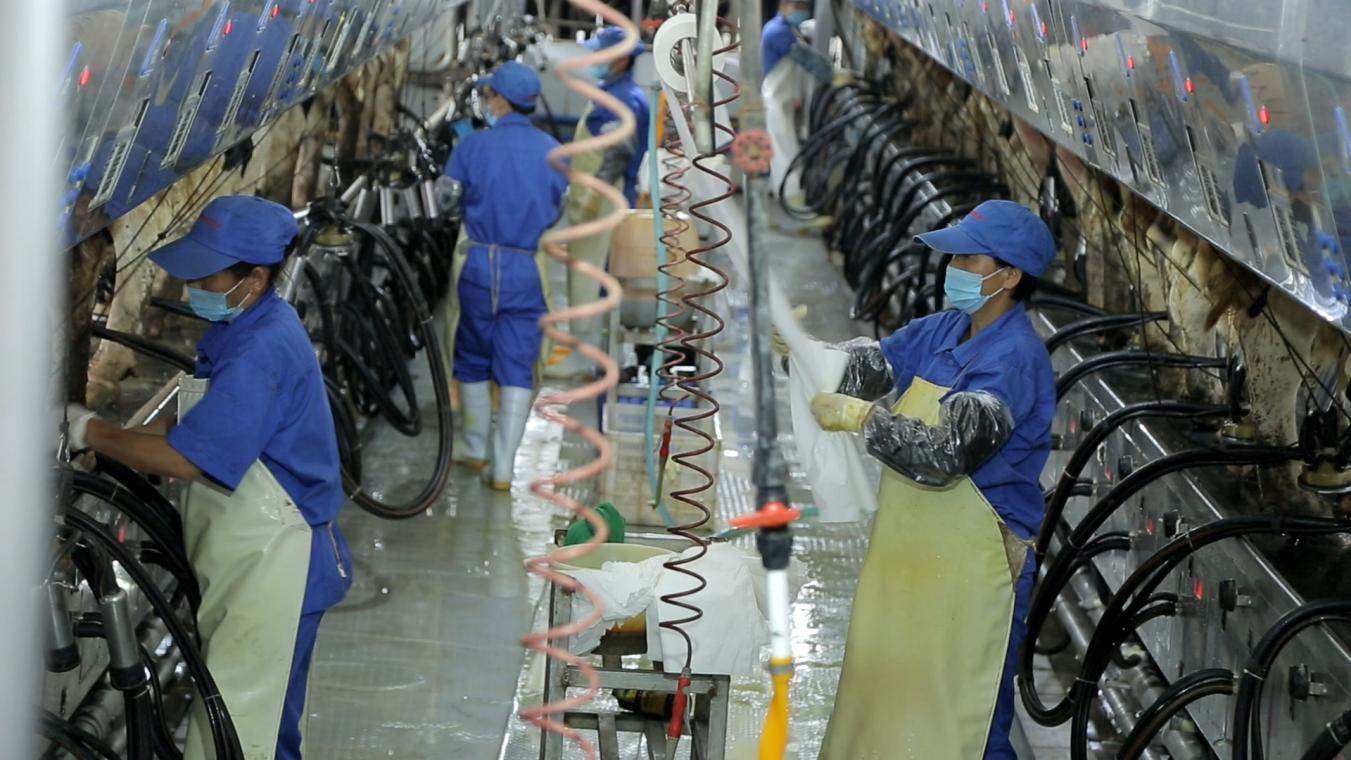 B体育在线登录丨河南农业大学党委副书记、校长介晓磊一行莅临B体育在线登录河南瑞亚参观调研