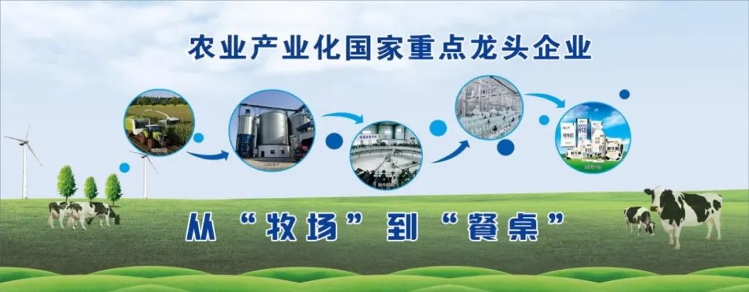 喜讯丨B体育在线登录顺利通过“农业产业化国家重点龙头企业”监测 喜讯丨B体育在线登录顺利通过“农业产业化国家重点龙头企业”监测