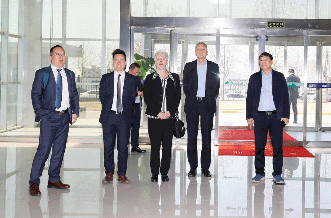 深化合作交流 互信共赢发展丨瑞典爱克林公司首席执行官 Ms.Marie Samuelsson 一行莅临B体育在线登录乳业集团参观座谈