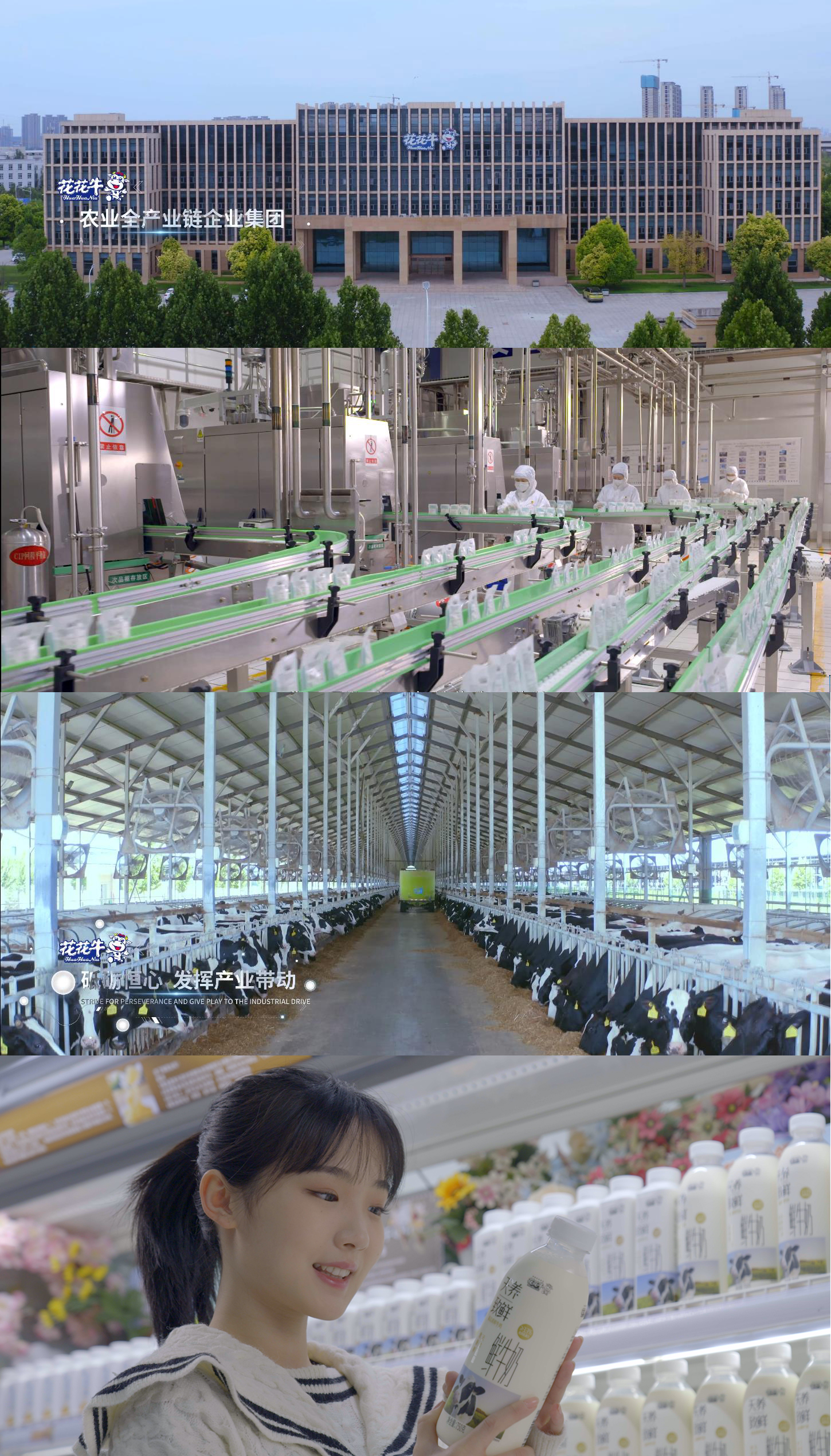 快讯 | 沈阳市政府副市长郑滨一行莅临B体育在线登录乳业集团考察 快讯 | 沈阳市政府副市长郑滨一行莅临B体育在线登录乳业集团考察