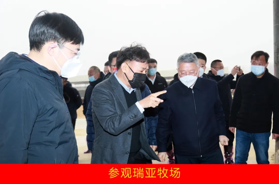 新年开新局 合作促发展丨佳木斯市委常委、副市长闫志刚一行莅临B体育在线登录乳业集团及佳田企业考察座谈