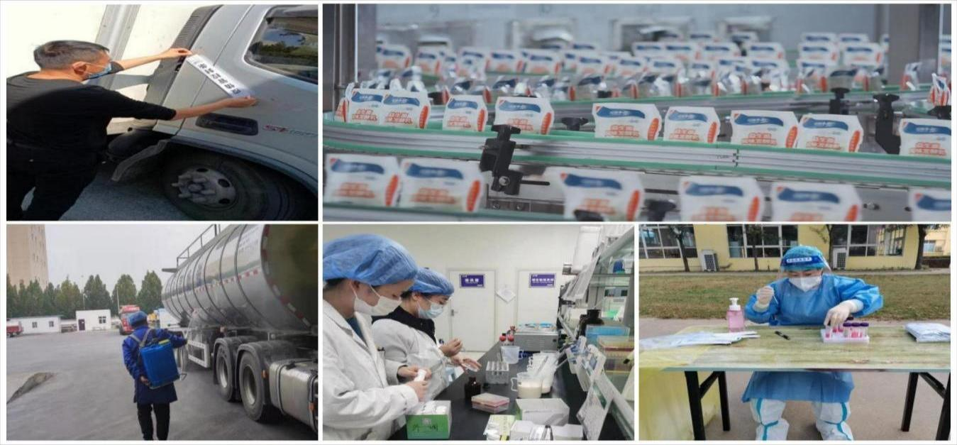 B体育在线登录 | 让牛奶和面包传递抗疫温暖力量 B体育在线登录 | 让牛奶和面包传递抗疫温暖力量