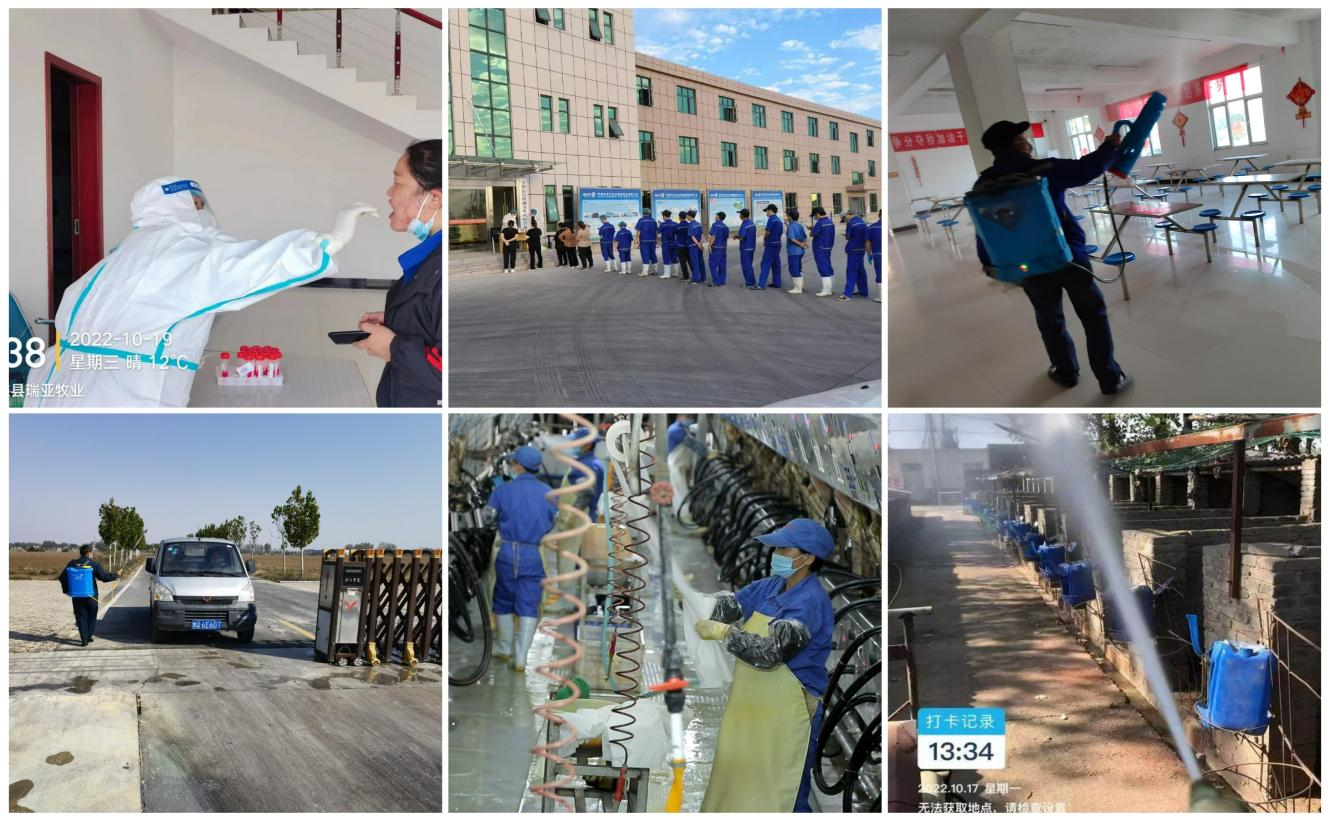 抗疫情、保供应、显担当——B体育在线登录在行动！！！