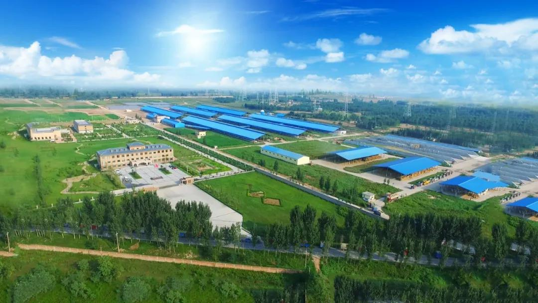 喜讯 | B体育在线登录一座自有牧场入选河南省“DHI测定优秀牧场”