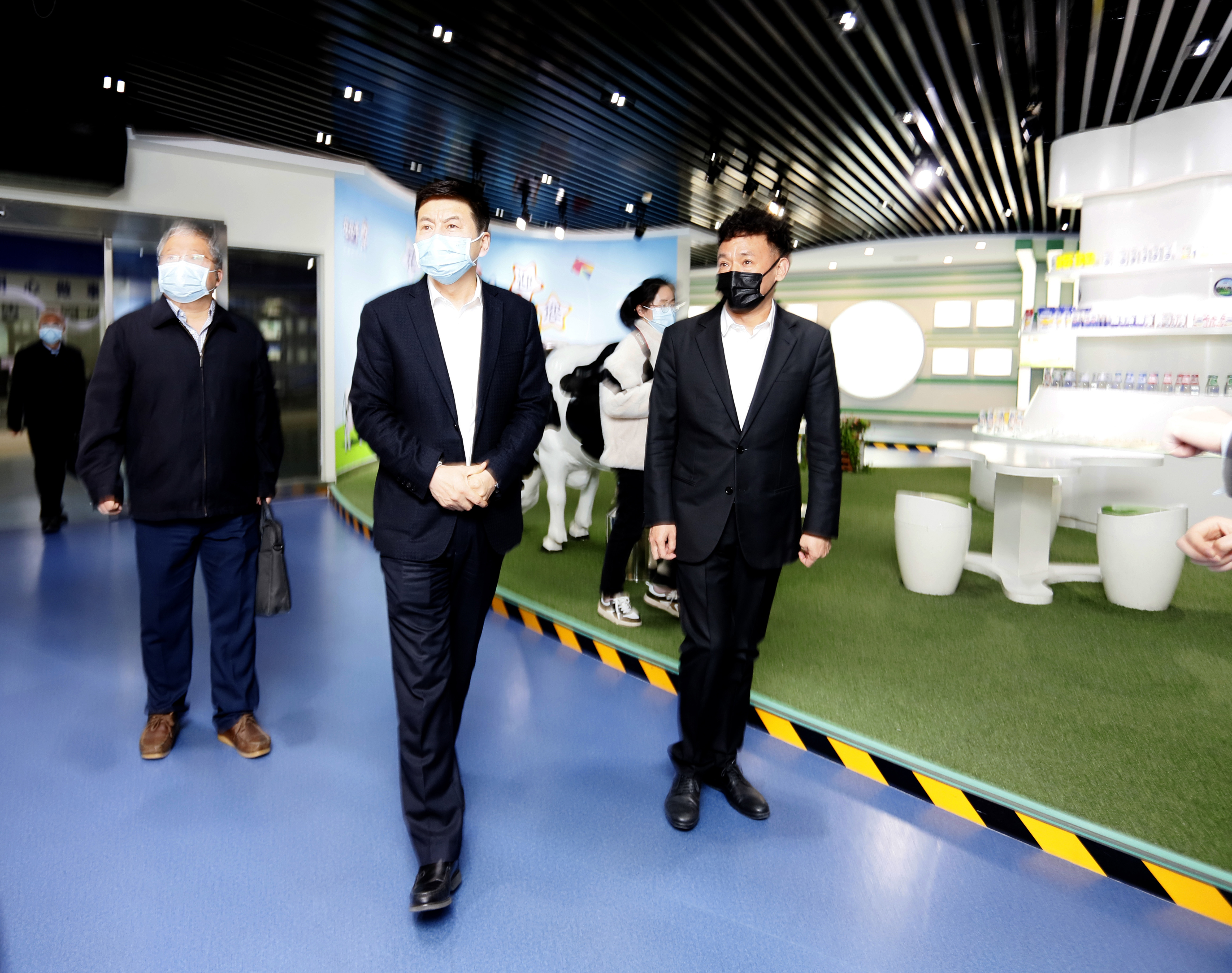 河南省委常委、副省长费东斌莅临 B体育在线登录乳业集团调研