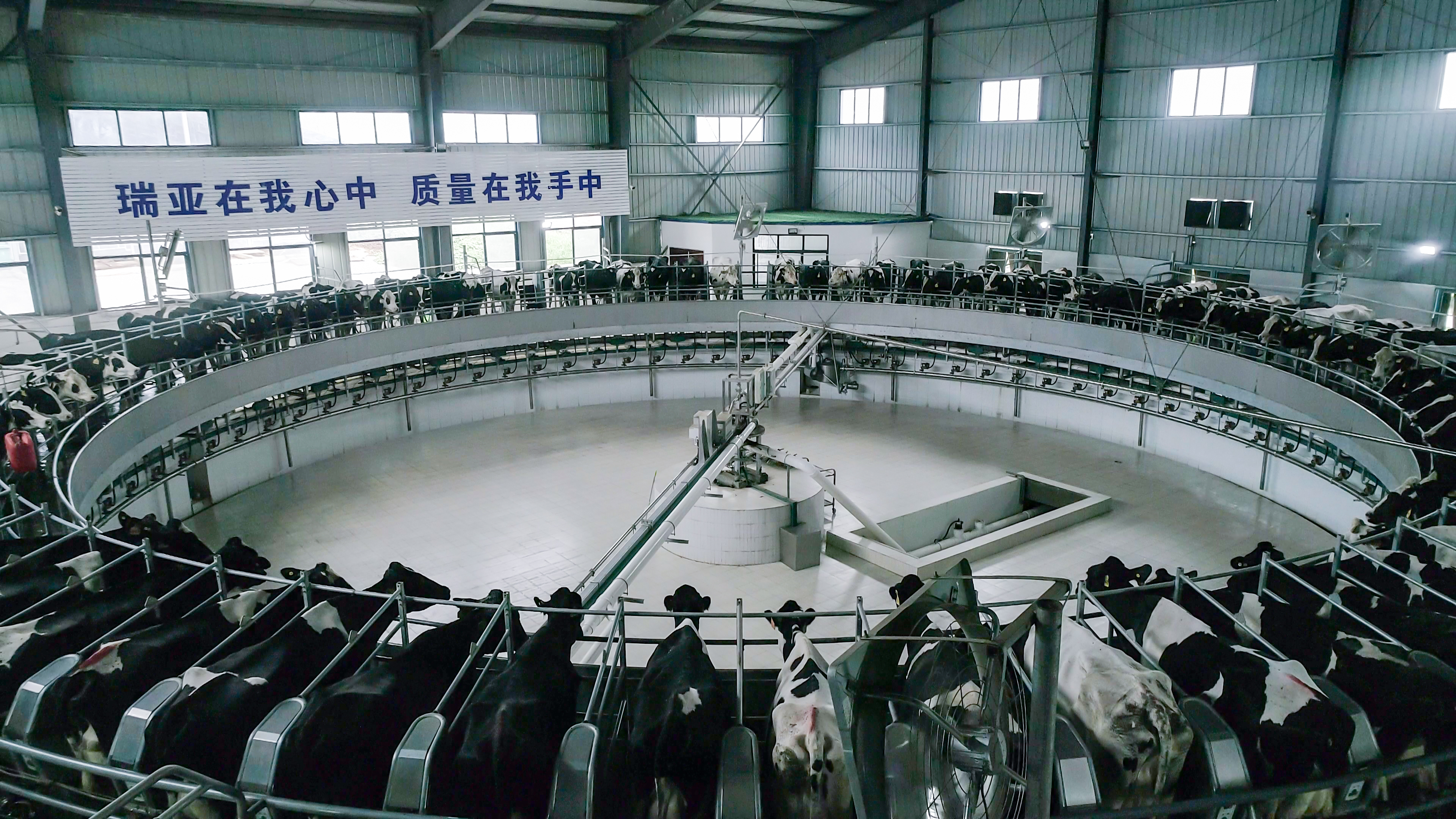 B体育在线登录两座自有牧场入选 河南省农业农村厅2021年度畜禽养殖标准化示范场