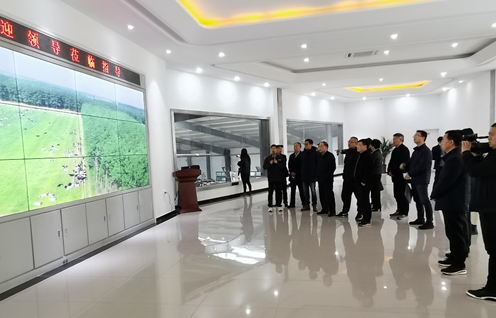 B体育在线登录 | 农业农村部畜牧兽医局副局长魏宏阳一行莅临B体育在线登录平舆诚信瑞亚牧业公司参观调研 B体育在线登录 | 农业农村部畜牧兽医局副局长魏宏阳一行莅临B体育在线登录平舆诚信瑞亚牧业公司参观调研