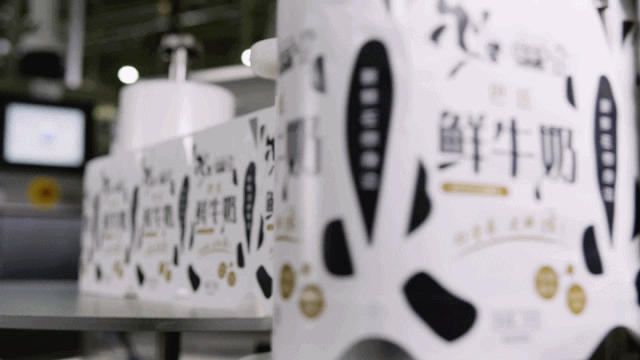 B体育在线登录 | “2020河南食品安全与发展论坛——新常态下的高质量发展”成功举办