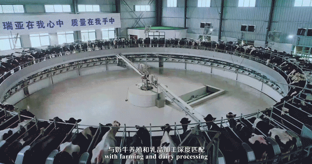 荣誉 | 2019年度河南省美丽牧场名单新鲜出炉 B体育在线登录乳业集团旗下六个牧场榜上有名