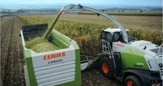 B体育在线登录 2020年玉米青贮采购信息