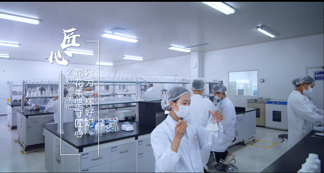 郑州市委副书记、市长王新伟莅临B体育在线登录乳业集团调研