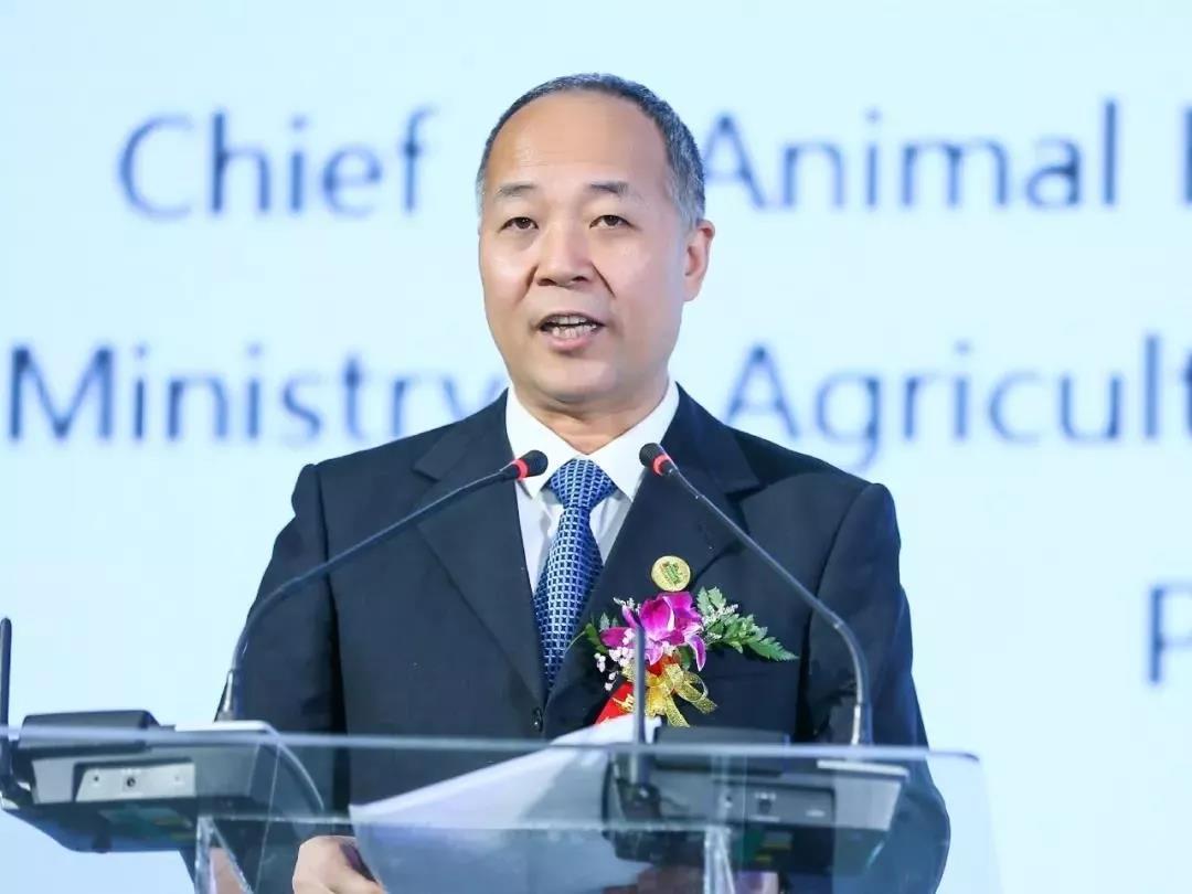 SDDDC走进河南，看看B体育在线登录的国际范儿！