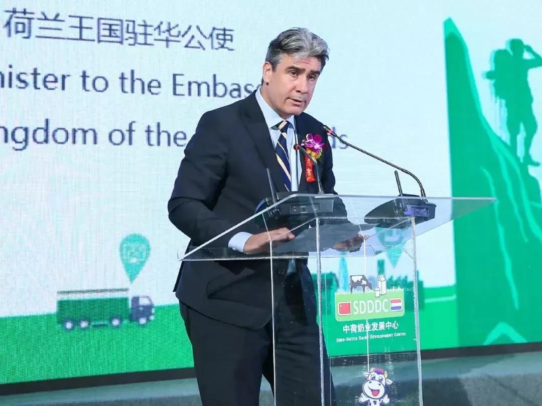 SDDDC走进河南，看看B体育在线登录的国际范儿！