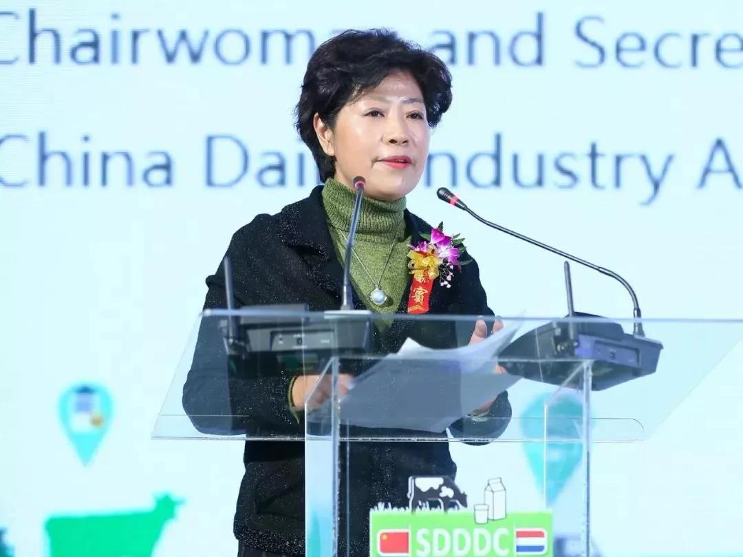 SDDDC走进河南，看看B体育在线登录的国际范儿！