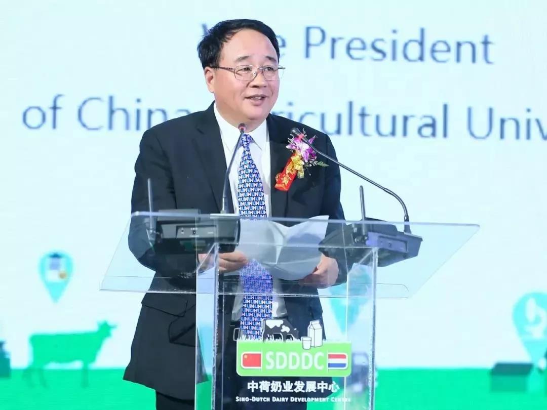 SDDDC走进河南，看看B体育在线登录的国际范儿！