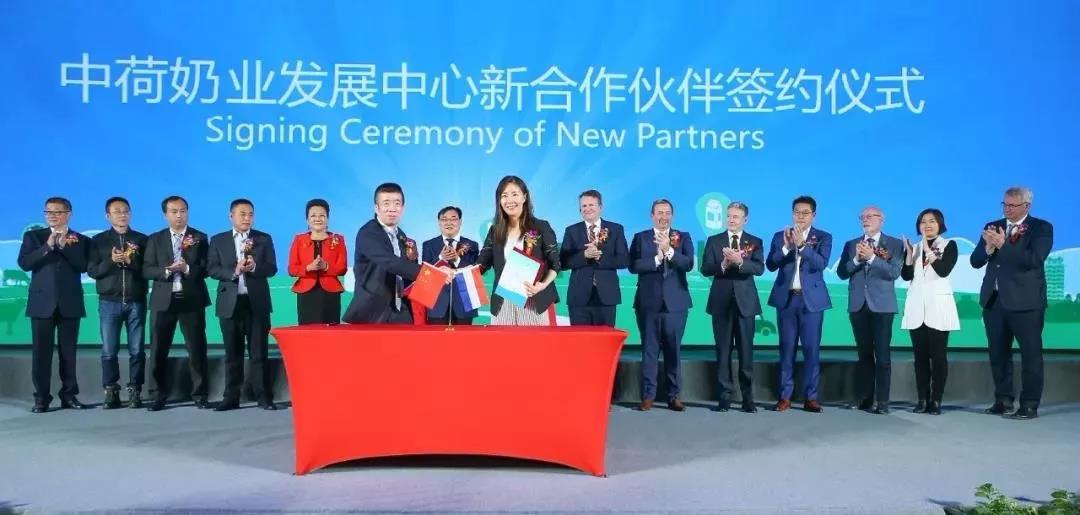 SDDDC走进河南，看看B体育在线登录的国际范儿！