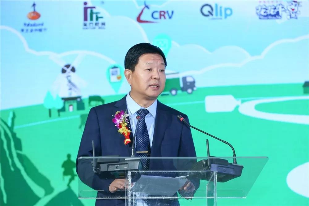 SDDDC走进河南，看看B体育在线登录的国际范儿！