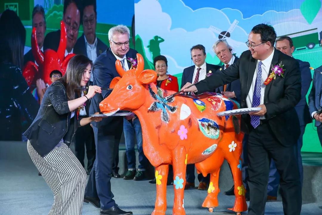 SDDDC走进河南，看看B体育在线登录的国际范儿！