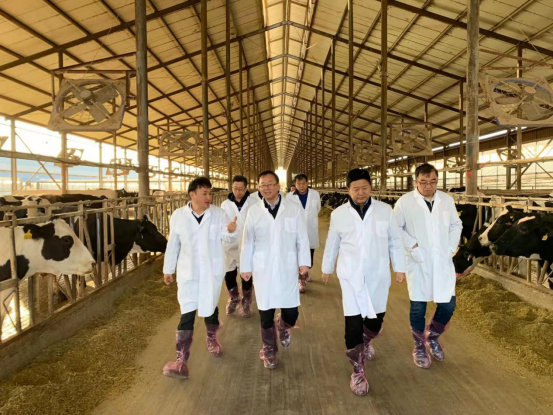 宁夏回族自治区农业农村厅党组书记、厅长王刚一行莅临B体育在线登录乳业集团调研 宁夏回族自治区农业农村厅党组书记、厅长王刚一行莅临B体育在线登录乳业集团调研