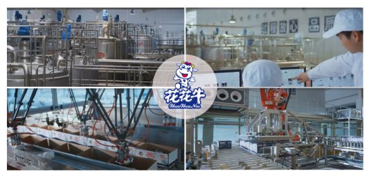 荣获全国“质量月”五项大奖，B体育在线登录真牛！