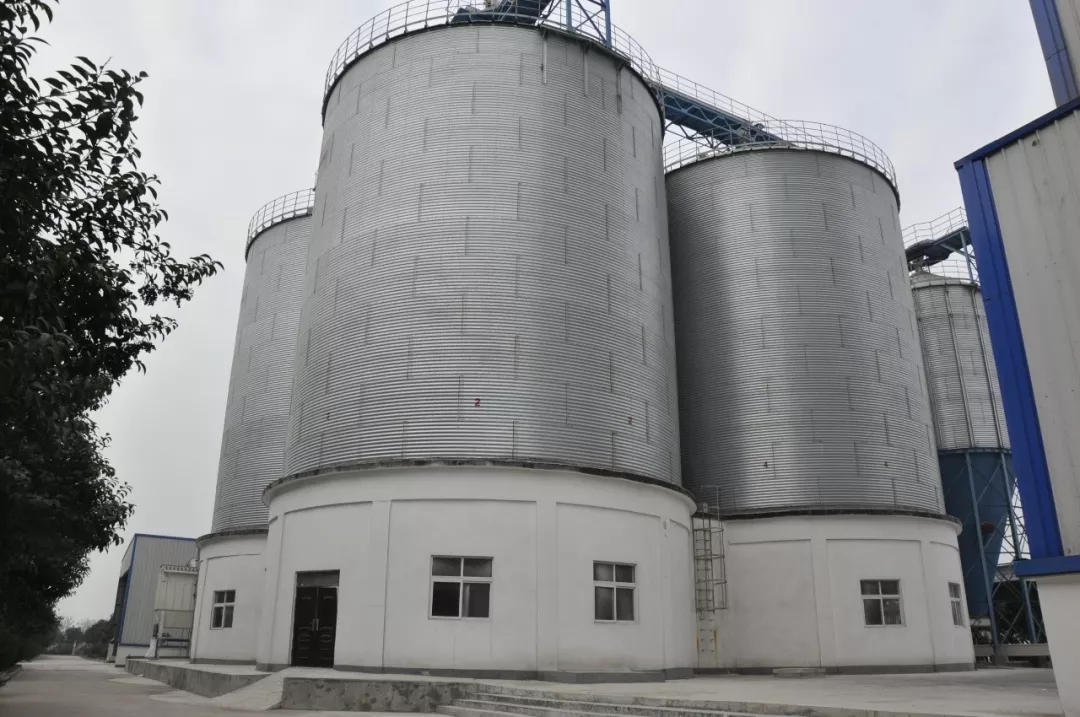 第31届中原畜牧业交易博览会 || B体育在线登录乳业集团获“河南省畜牧行业——最具影响力品牌”奖