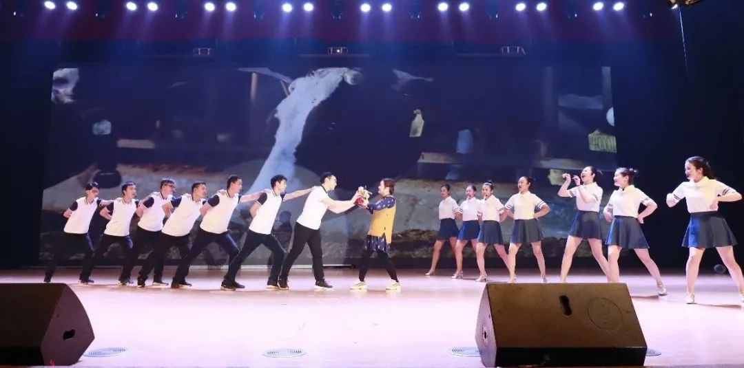 “赢在2019”，B体育在线登录乳业集团2019年新春晚会盛大开幕