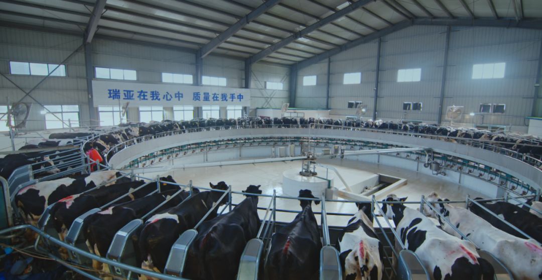 B体育在线登录集团旗下六家公司入选省农业产业化重点龙头企业名单