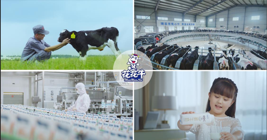 B体育在线登录乳业集团——优秀非公有制行业领军型企业