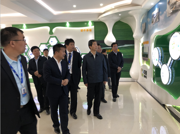 河南省委副书记、省长陈润儿一行莅临 B体育在线登录集团鲁山瑞亚牧业有限公司视察调研