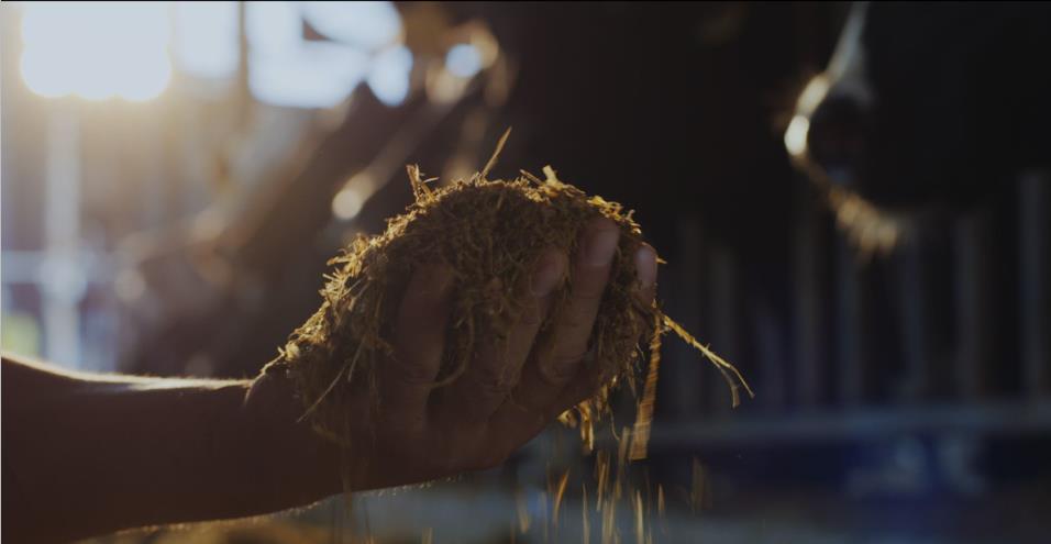 又双叒叕获奖啦！B体育在线登录荣获“乳品质量安全管理 优秀企业”