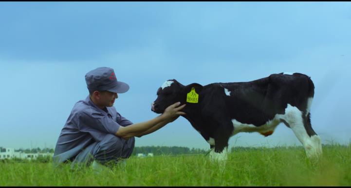 又双叒叕获奖啦！B体育在线登录荣获“乳品质量安全管理 优秀企业”