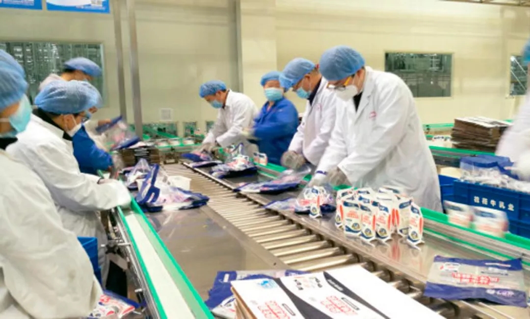 快讯丨河南省副省长武国定莅临B体育在线登录乳业集团调研重点保障企业复工复产情况