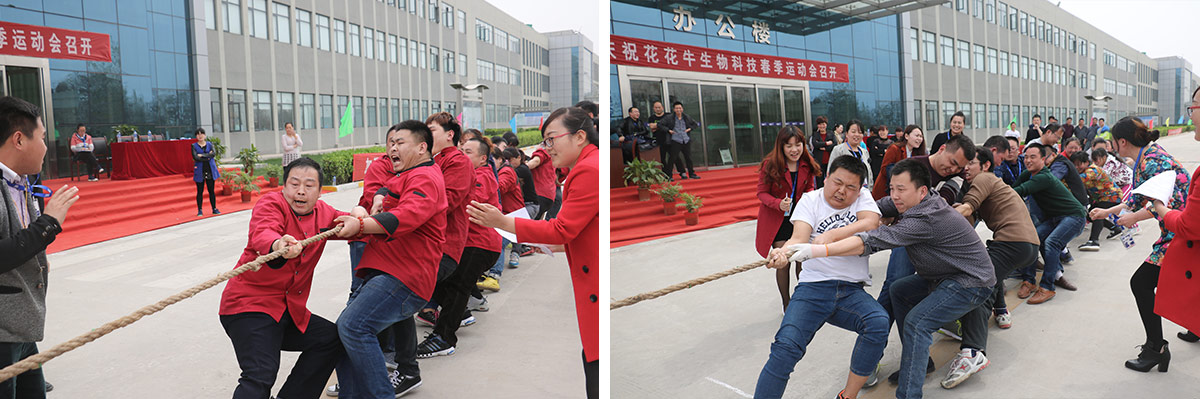河南B体育在线登录生物科技有限公司举办2016年春季运动会