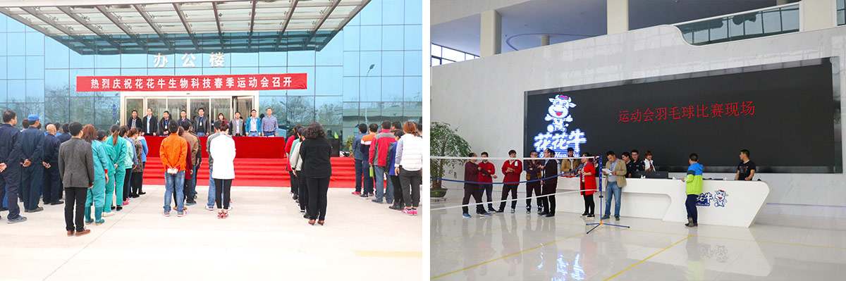 河南B体育在线登录生物科技有限公司举办2016年春季运动会