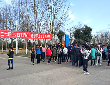 2017B体育在线登录健步走