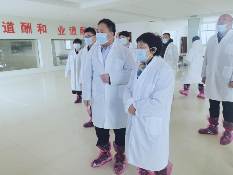 河南省郑州市人民政府副市长李凤芝一行莅临B体育在线登录河南瑞亚参观调研