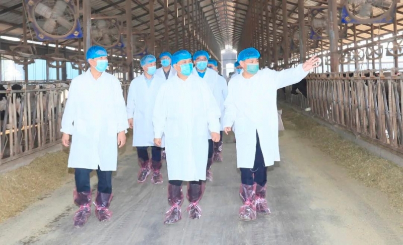 快讯丨河南省人民政府副省长武国定莅临B体育在线登录乳业集团瑞亚牧业调研奶源基地建设情况