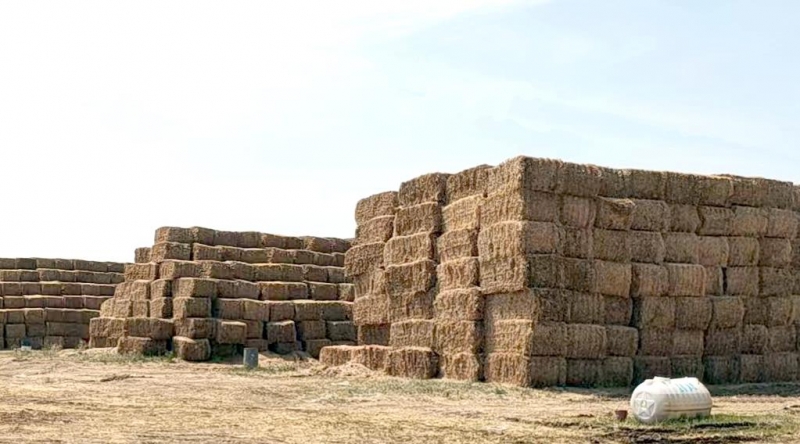 B体育在线登录2022年小麦秸秆采购招标