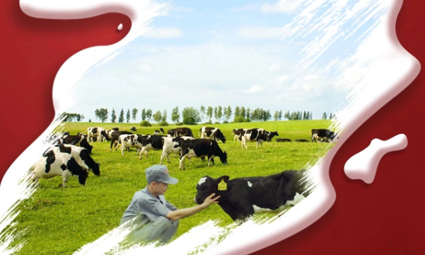 喜报！B体育在线登录董事长关晓彦再获”优 秀企业家”称号